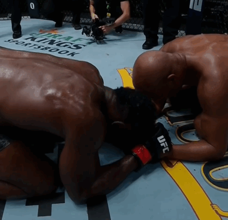 Повторение легендарного удара Андерсона Силвы в 12-секундном нокауте, претендующем на звание лучшего в году