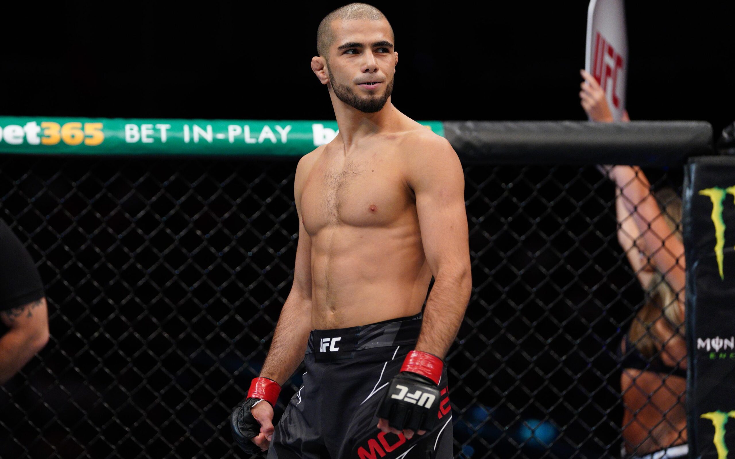 Preview Мухаммад Мокаев поделился важной информацией о возвращении в UFC и бое за мировой титул с Александром Пантожей