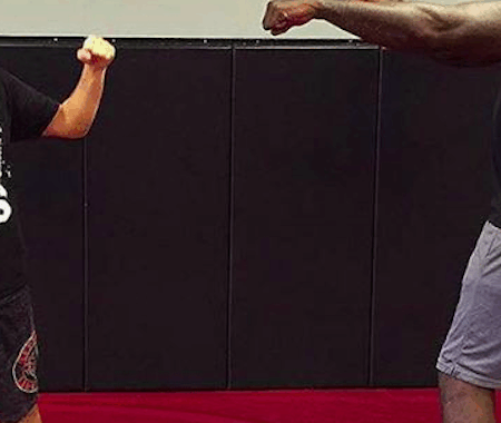 Шакил О’Нил назвал бой в UFC, который идеально подходит для привлечения новых фанатов