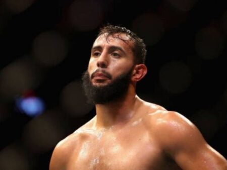 Доминик Рейес: Интригующий Выбор в Преддверии Битвы за Титул UFC