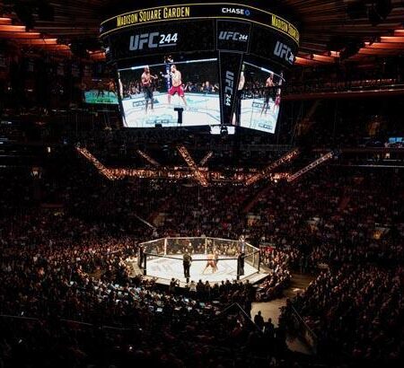 Заполненные трибуны или «долгая игра»: UFC Perth и стратегические заявления Дэйва Шоу