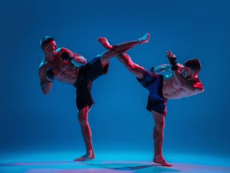 Единоборства сегодня: спорт или прибыльное шоу?