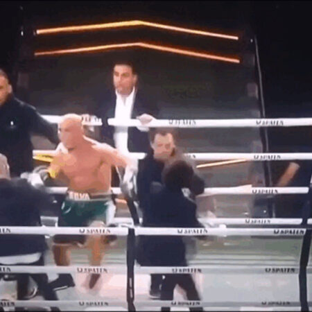 Когда «Выставка Легенд» Превращается в Уличную Драку: Анализ Хаоса После Боя Вандерлея Силвы