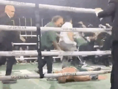 Бразильский хаос: Нокаут Вандерлея Силвы сыном соперника — скандал Spaten Fight Night 2