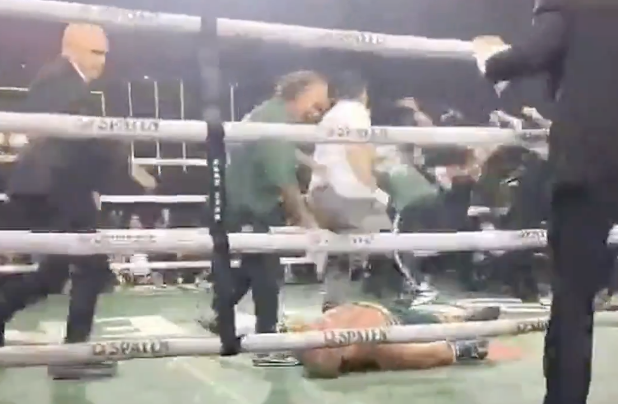 Preview Бразильский хаос: Нокаут Вандерлея Силвы сыном соперника — скандал Spaten Fight Night 2