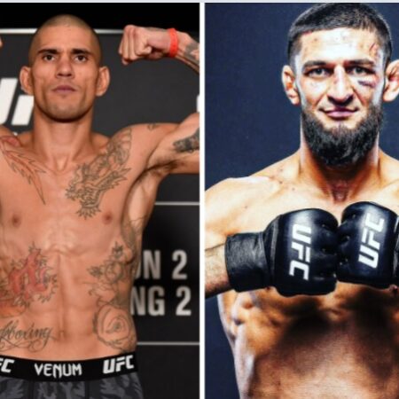 Алекс Перейра на Распутье: Между Величием Джона Джонса и Неистовым Хамзатом Чимаевым