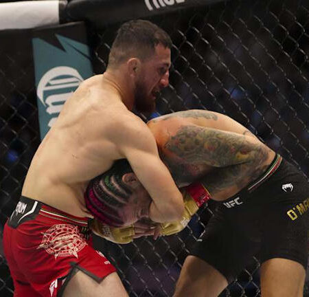 Стратегия против «Машины»: Почему Ти Джей Диллашоу видит ключ к победе над Мерабом Двалишвили лишь в одном имени