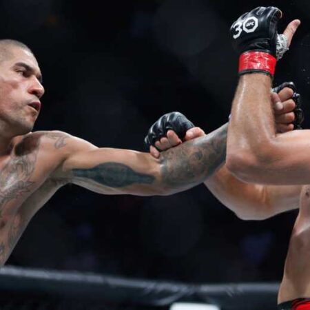 Алекс Перейра на распутье: Аналитики UFC предсказывают интригующий поединок перед восхождением в тяжелый вес