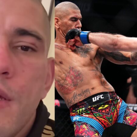 Удар, Который Не Состоялся: Почему Алекс Перейра Жалеет о Пропущенной «Пощечине» на UFC 320