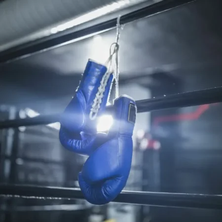 Виды единоборств в 1Win и Mostbet