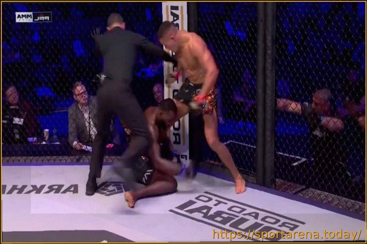 Preview Костелло ван Стенис успешно защитил титул чемпиона PFL в среднем весе, нокаутировав Фабиана Эдвардса на PFL Madrid