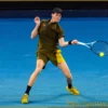 Полуфиналы ATP Miami: Подробный Обзор и Анализ Матчей