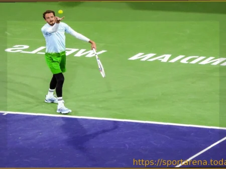 Теннис столкнулся с проблемой VAR