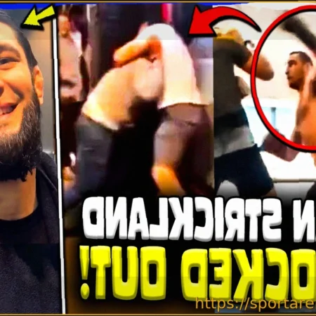 Хамзат Чимаев против Шона Стрикленда: Прогноз аналитика UFC о возможном «жестком» бое