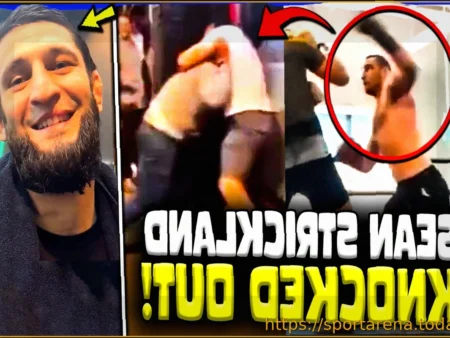 Хамзат Чимаев против Шона Стрикленда: Прогноз аналитика UFC о возможном «жестком» бое