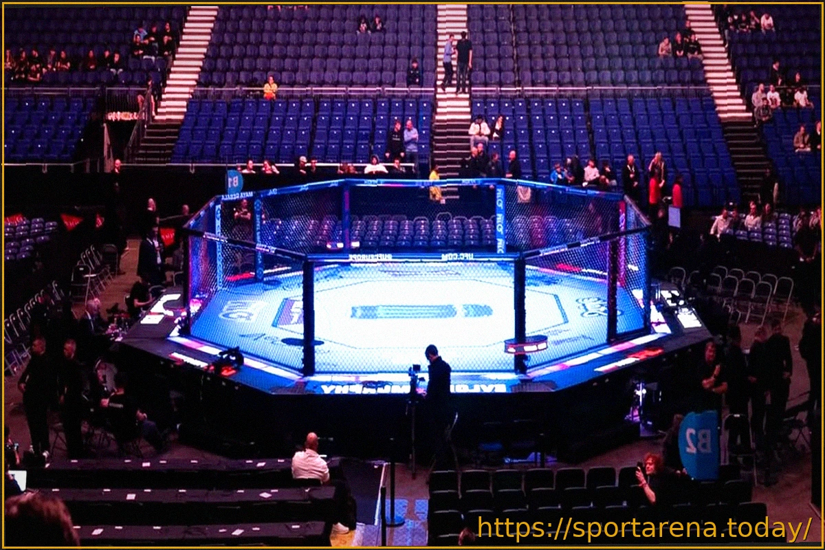 Preview Старший комментатор UFC признает снижение качества последних турниров на фоне критики