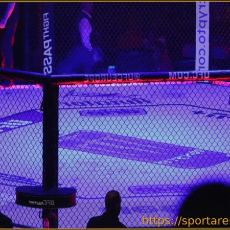 Сможет ли TKO Group Holdings бросить вызов доминированию Ticketmaster в индустрии живых мероприятий?