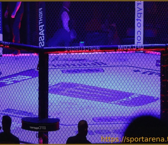 Сможет ли TKO Group Holdings бросить вызов доминированию Ticketmaster в индустрии живых мероприятий?