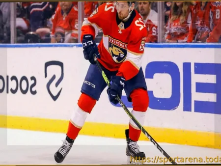 Защитник «Сибири» Приски: «У нас два лучших вратаря в КХЛ»