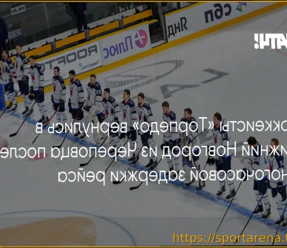 Хоккеисты «Торпедо» вернулись в Нижний Новгород после выездных матчей Кубка Гагарина