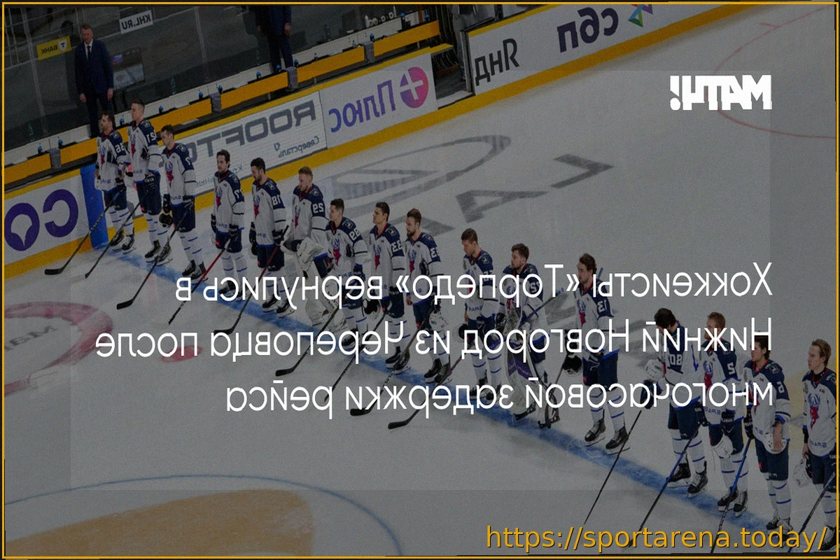 Preview Хоккеисты «Торпедо» вернулись в Нижний Новгород после выездных матчей Кубка Гагарина