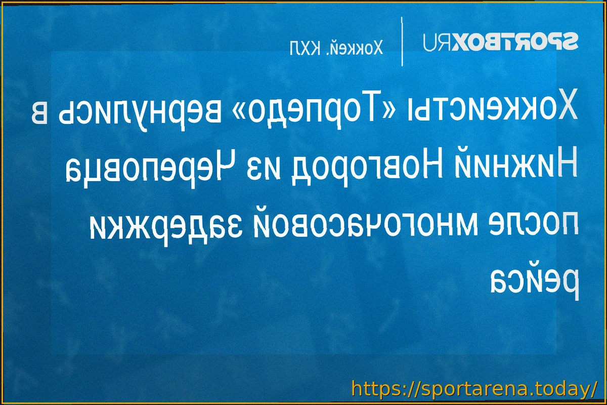 Preview Хоккейный клуб «Торпедо» вылетел в Нижний Новгород после двойной задержки рейса