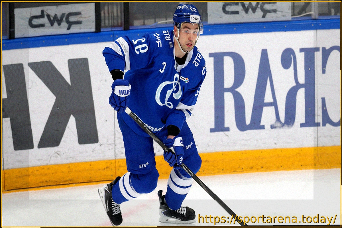 Preview Ожиганов: Камеры на судьях — чтобы люди смотрели хоккей, а не «Дом-2»