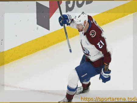 Валерий Ничушкин — первая звезда матча НХЛ «Сент-Луис» — «Колорадо»