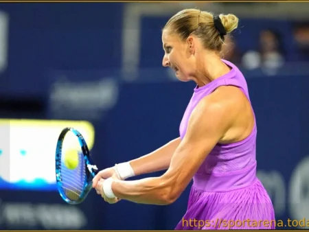 Прогнозы на четвертьфинал WTA Линц
