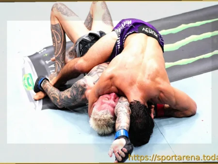 Звезда UFC Арман Царукян под огнем критики за жестокое удушение фаната в прямом эфире