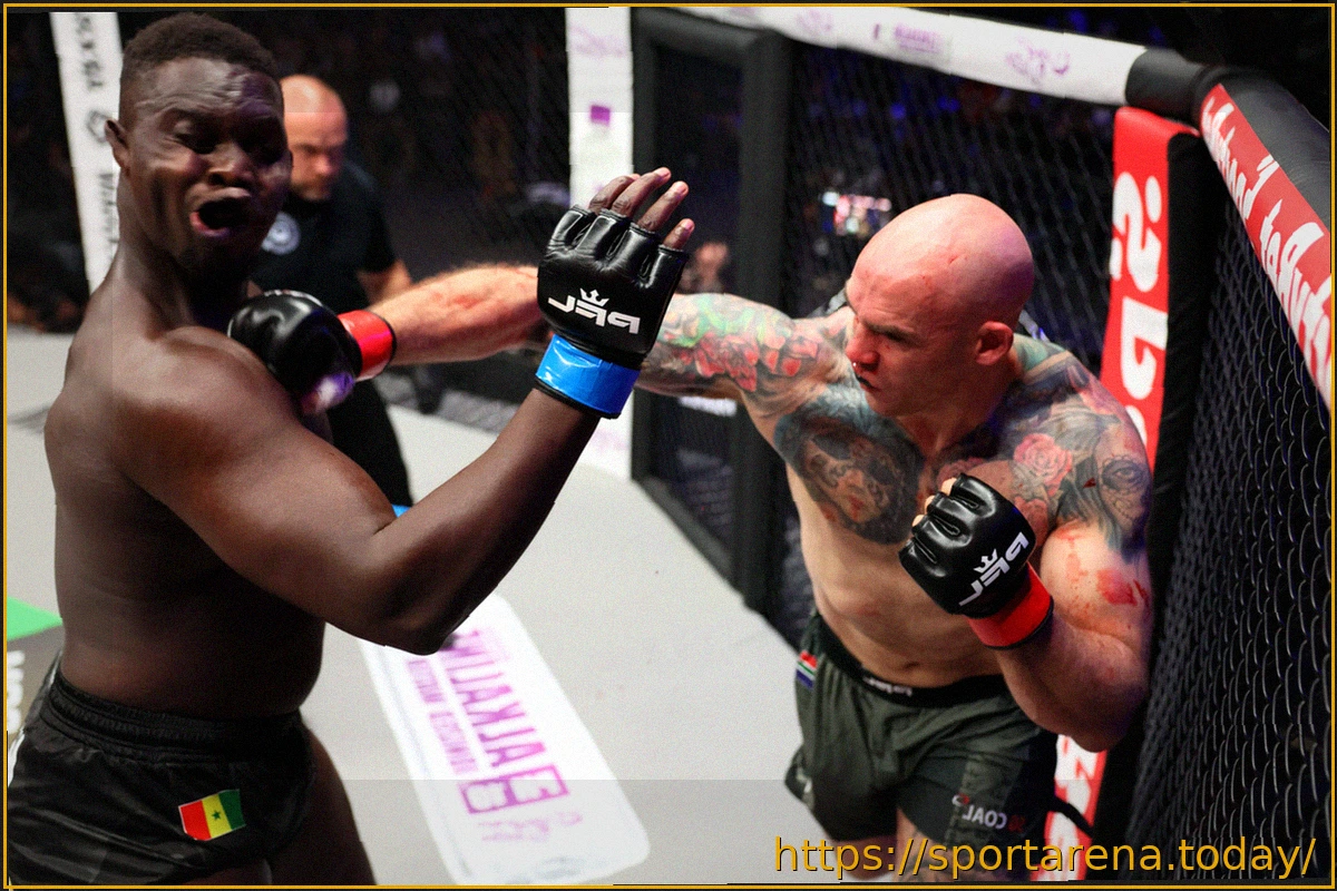 Preview Результаты PFL Africa Pretoria и яркие моменты