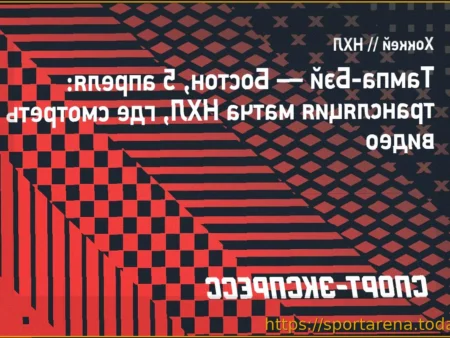Матч НХЛ: «Тампа-Бэй» против «Бостона»