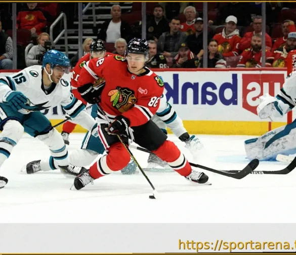 «Сан-Хосе» одержал победу над «Чикаго» в НХЛ