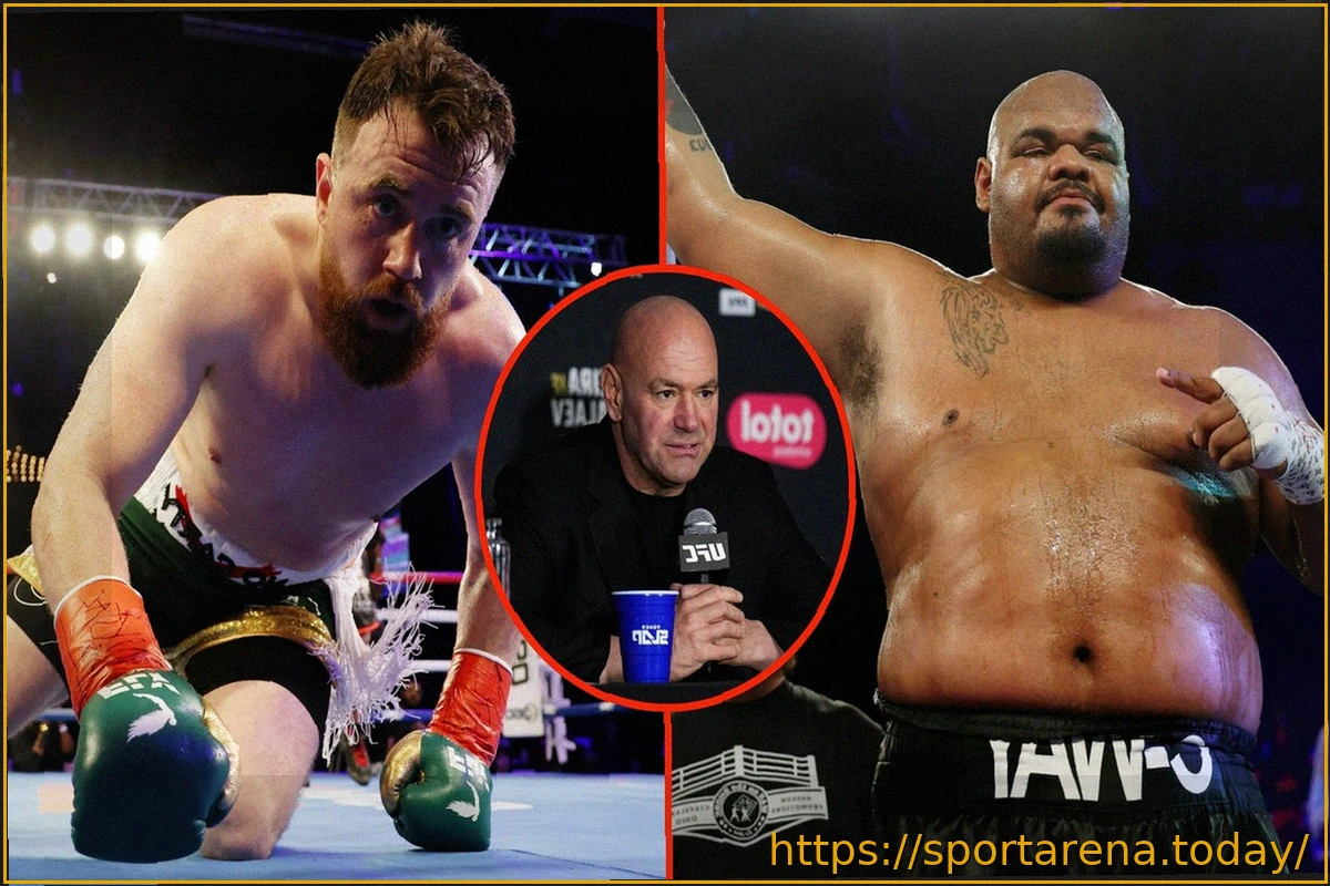 Preview UFC: Дана Уайт откладывает решение о титуле в полутяжелом весе из-за травмы Карлоса Ульберга