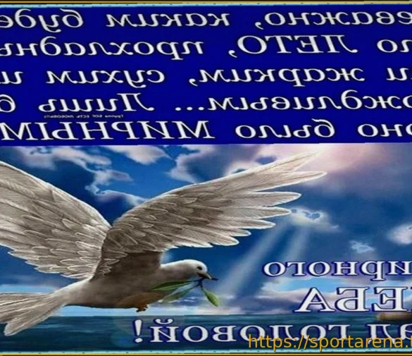 Виктор Шалимов: «Хочется мирного неба над головой»