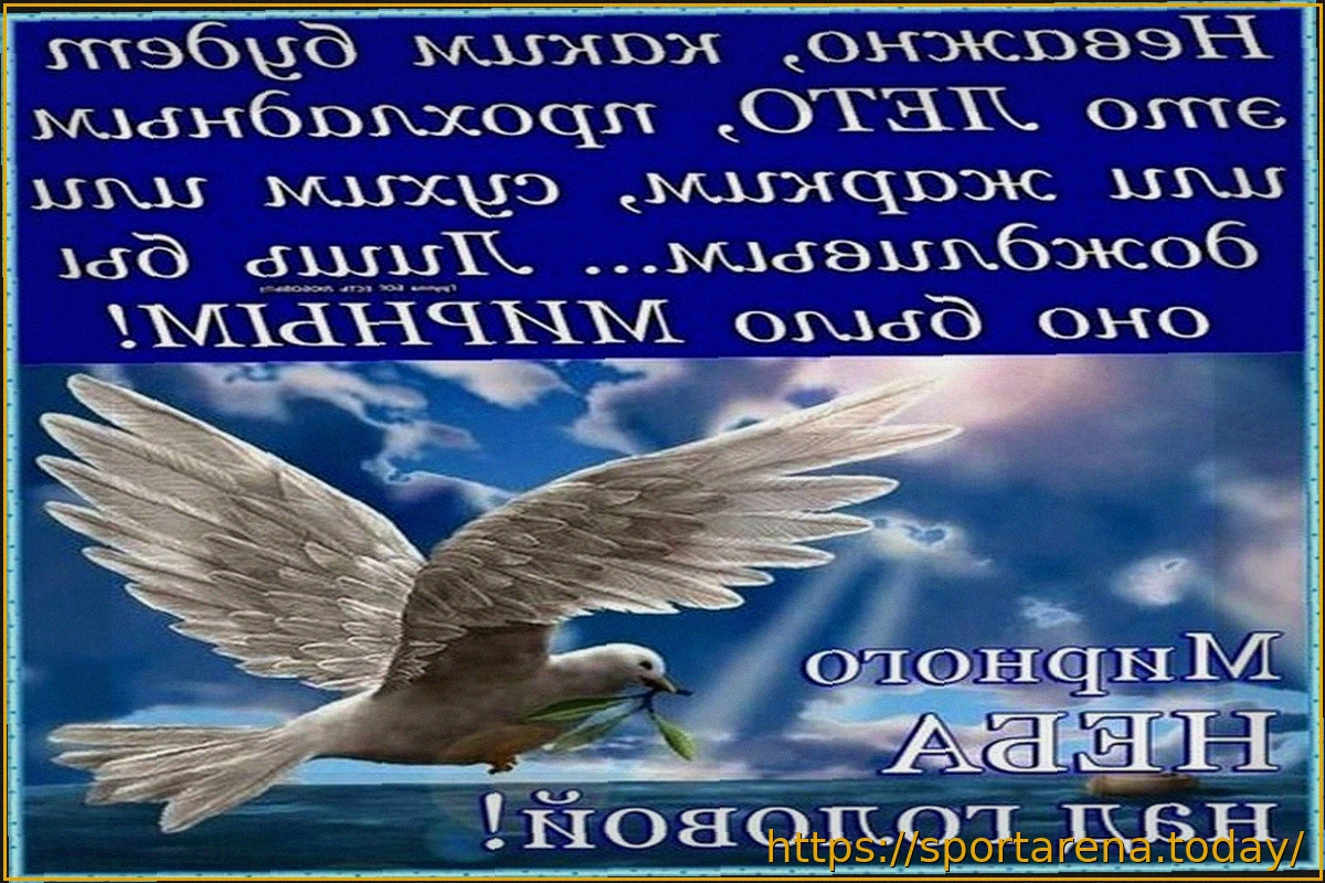 Preview Виктор Шалимов: «Хочется мирного неба над головой»