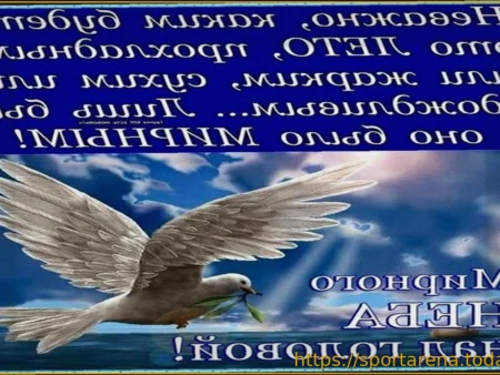 Виктор Шалимов: «Хочется мирного неба над головой»