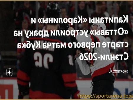 В овертайме матча «Каролина» — «Оттава» отменили гол и не реализовали буллит