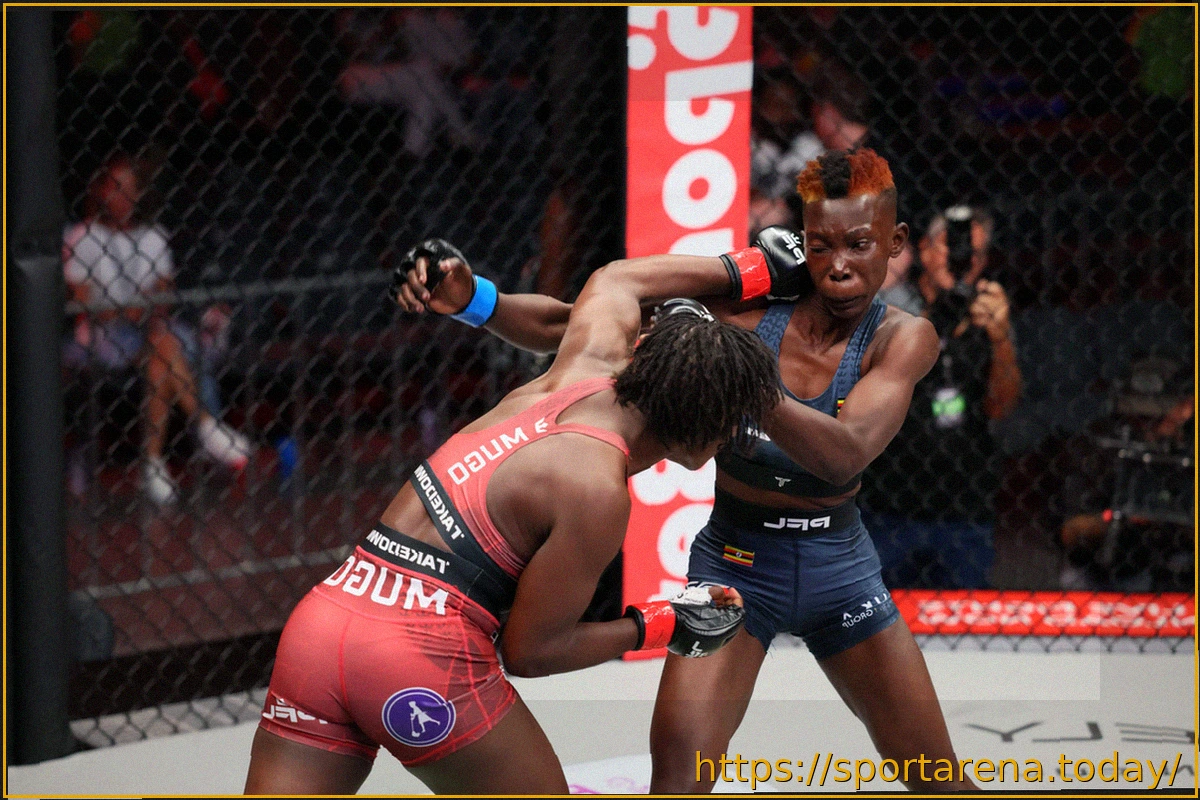 Preview Результаты PFL Africa Претория: Прямая трансляция