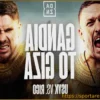Александр Усик против Рико Верхувена: Полные результаты турнира