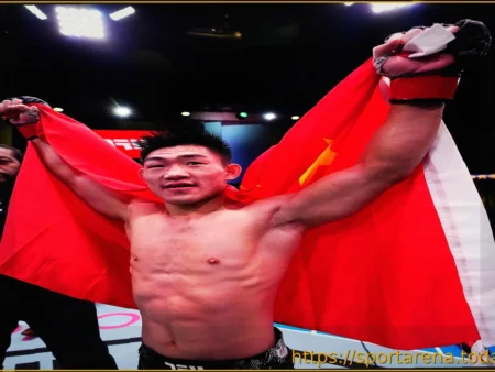 UFC: Прогноз на бой Сонг Ядонг против Дейвисона Фигейредо