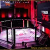Road to UFC: Сезон 5, Второй день отборочного раунда – Результаты и яркие моменты