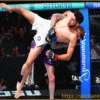 Том Нолан одержал победу над Фаресом Зиамом, заняв место в топ-15 легкого веса UFC